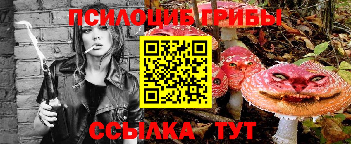 Унеча  Псилоцибиновые грибы мухоморы  Галлюциногенные грибы MAGIC MUSHROOMS  даркнет сайт  Вход с VPN 