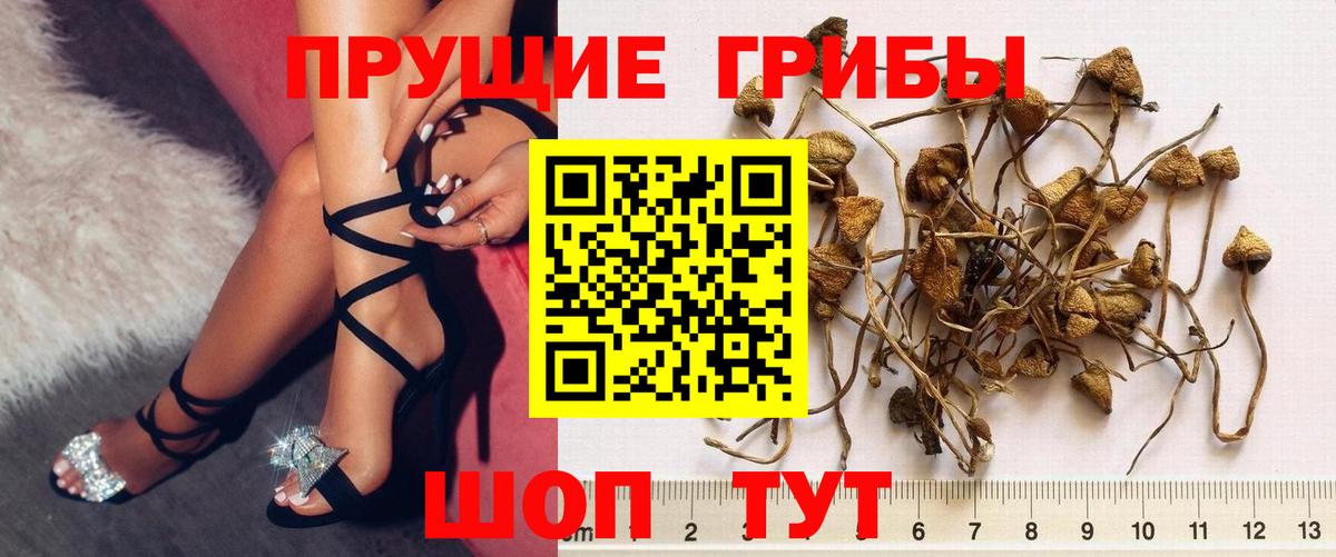 Галлюциногенные грибы мухоморы Унеча