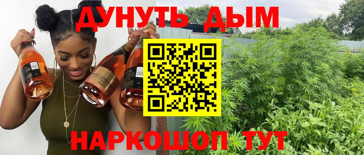 Марихуана OG Kush Унеча